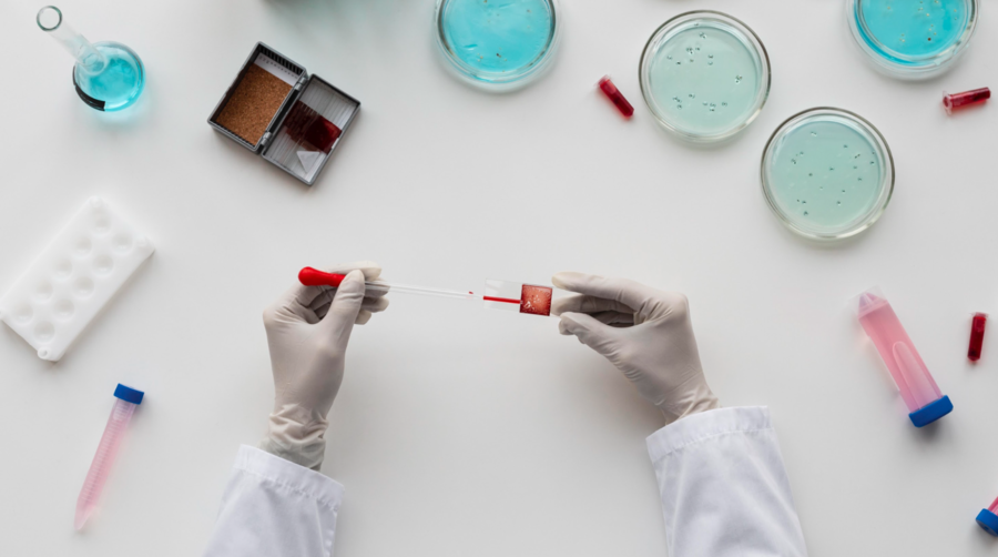 Передовые технологии замедления старения Samsara Therapeutics: развитие и планы